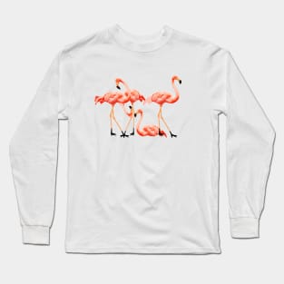 Flamingo Flock, Love Flamingos Tropical Birds Long Sleeve T-Shirt